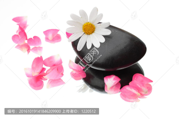 花和花瓣