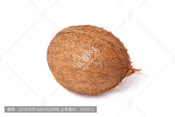 椰子