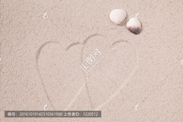 沙子與貝殼中的心