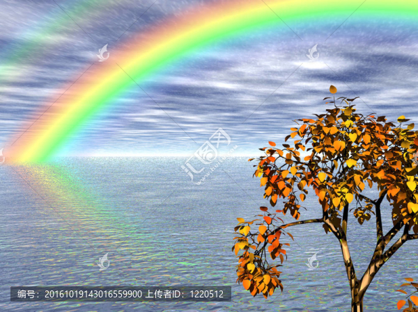 海和Rainbow