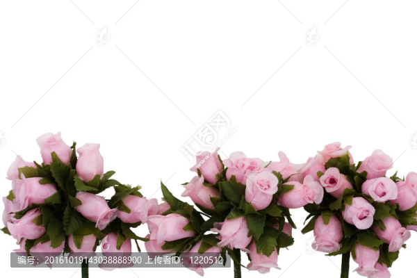 花境