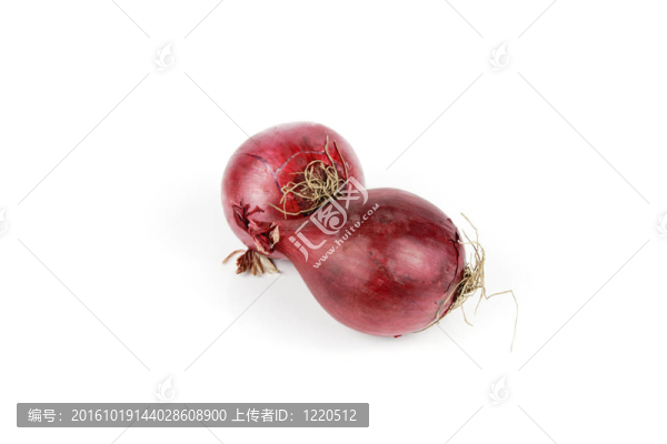 紅洋蔥