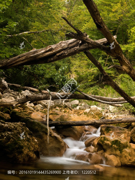 在山上流淌的小溪。山區(qū)河流