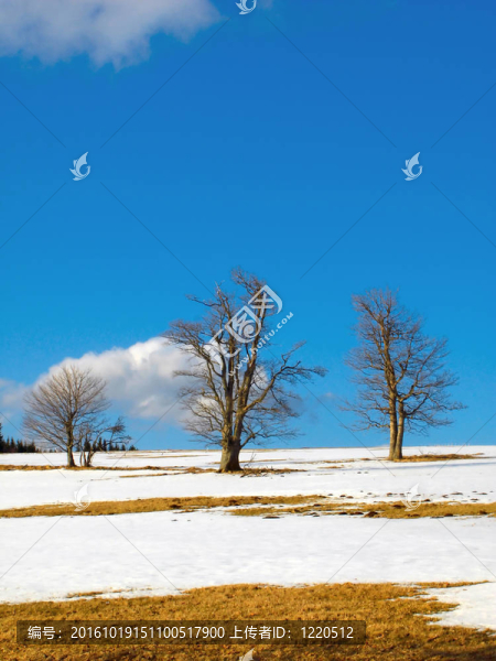春天的風(fēng)景