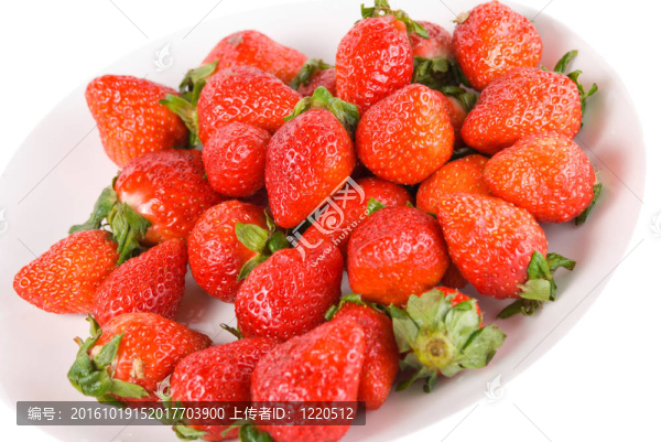 白草莓隔離樁