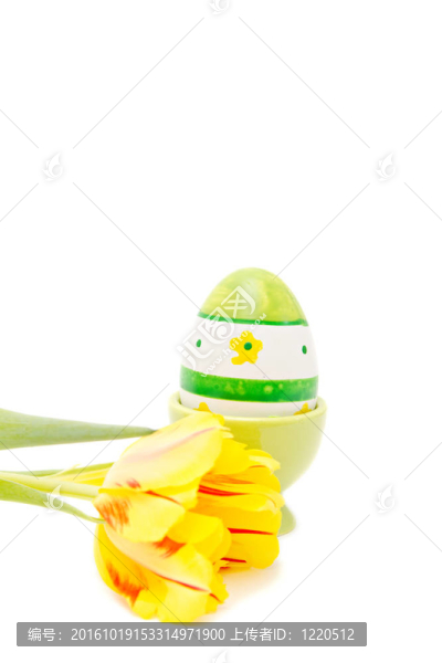 復(fù)活節(jié)裝飾和白色郁金香