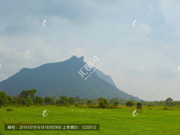 斯里蘭卡景觀