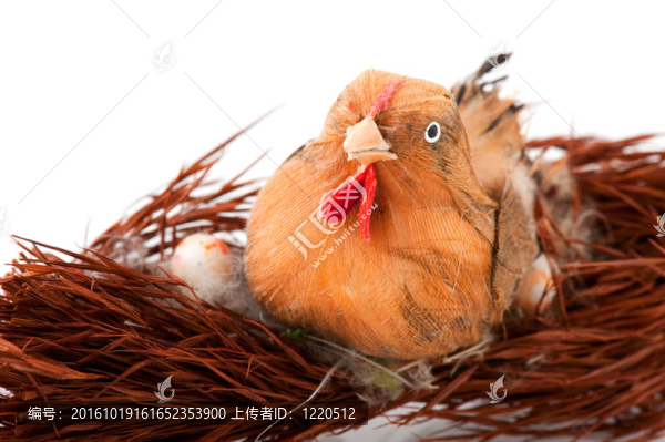 復活節(jié)的鳥