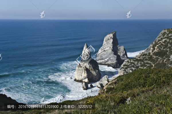 大熊座的海灘
