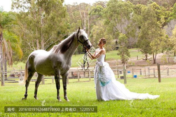 年輕女子與White,Horse
