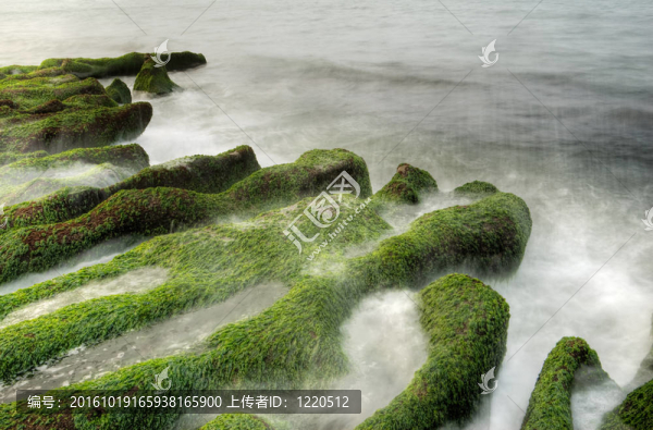 海藻海岸景觀