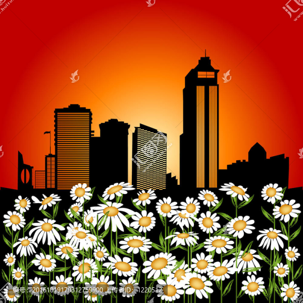城市的花朵