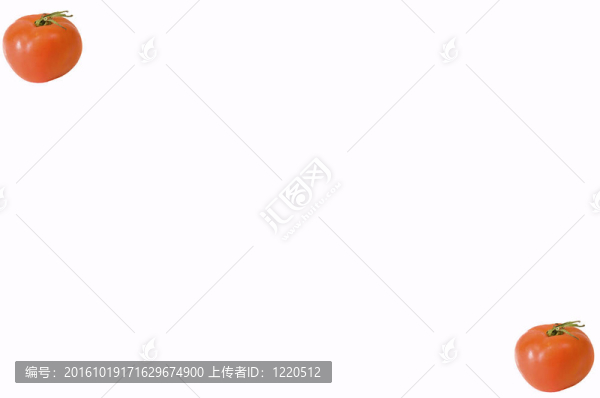 番茄的研究