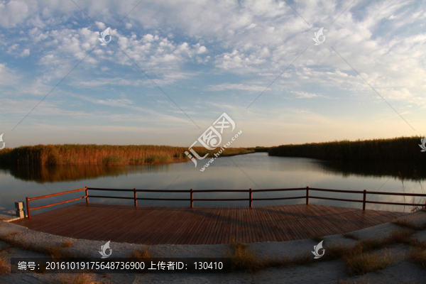 濕地公園