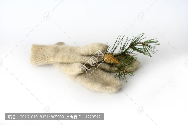 從松樹枝狗羊毛手套