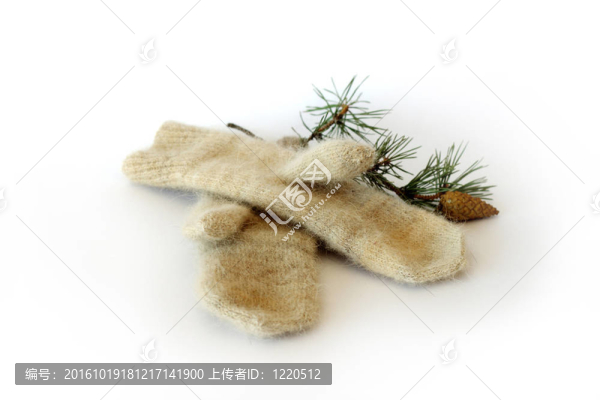 從松樹枝狗羊毛手套