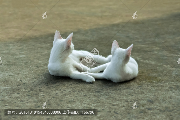 統(tǒng)一關(guān)注