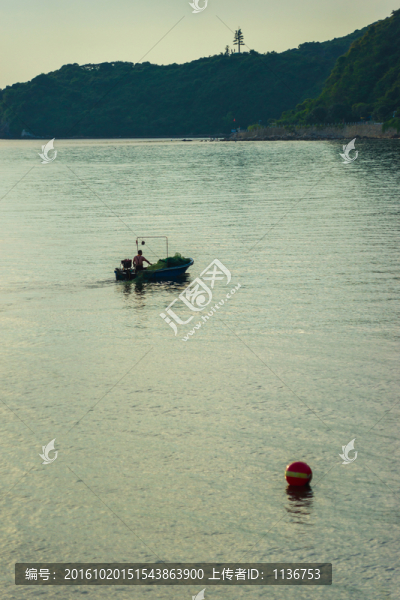 寧靜海灣