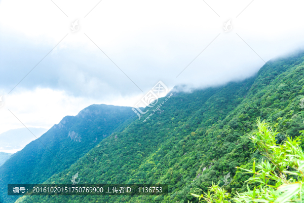 山巒