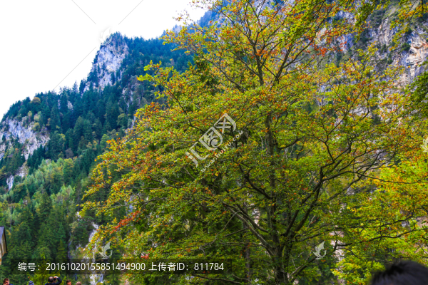歐洲德國(guó)新天鵝石城堡大山