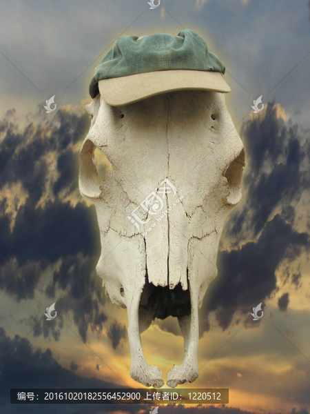 Horse,Skull帽子