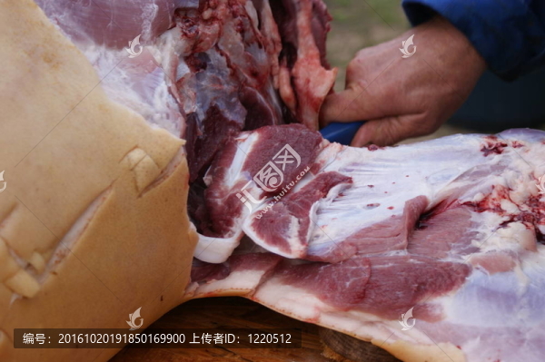 家庭屠宰一個(gè)生長豬在農(nóng)村地區(qū)