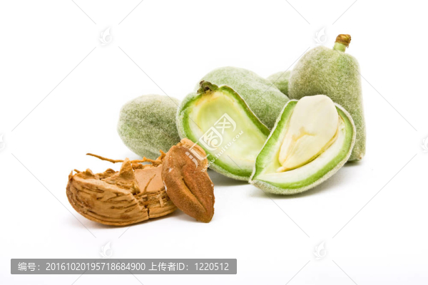杏仁品種