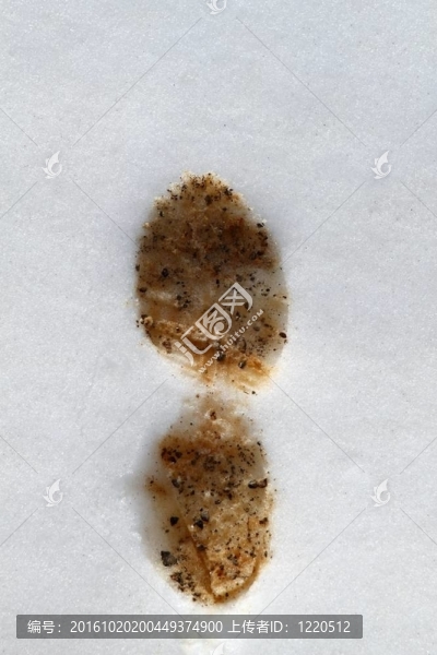 骯臟的泥土足跡在白色的白雪表面