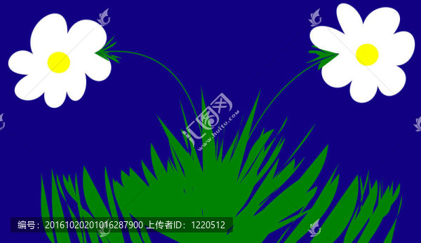 雛菊
