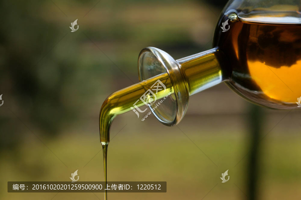 橄欖油