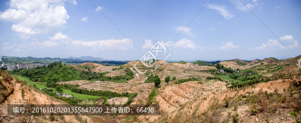 山茶油基地全景