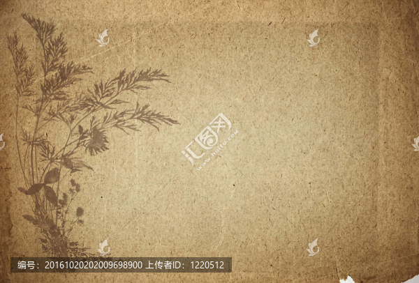 古老的羊皮紙