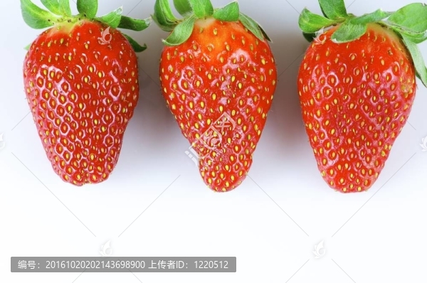 草莓