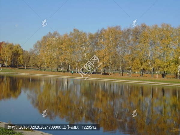 黃金瀑布公園