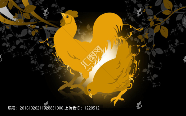 公雞和母雞