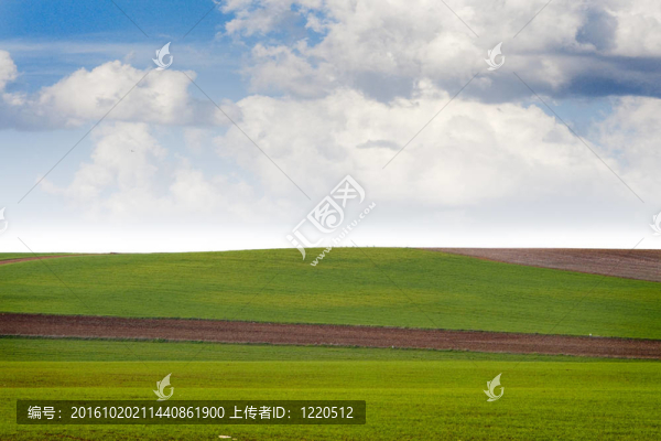 農(nóng)業(yè)領(lǐng)域；綠色性