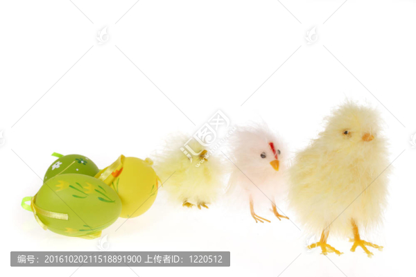 復(fù)活節(jié)小雞