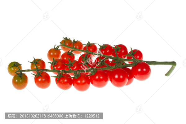 紅色的西紅柿