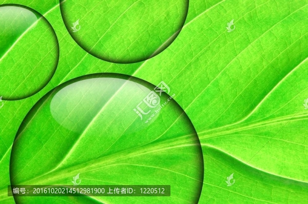 鮮綠水滴