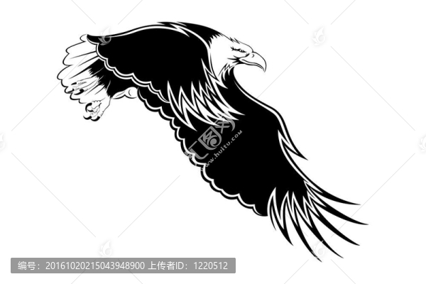 張開翅膀的鷹