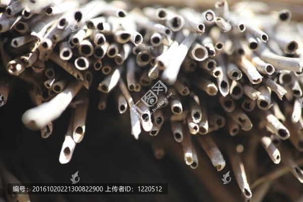 秸稈帳篷