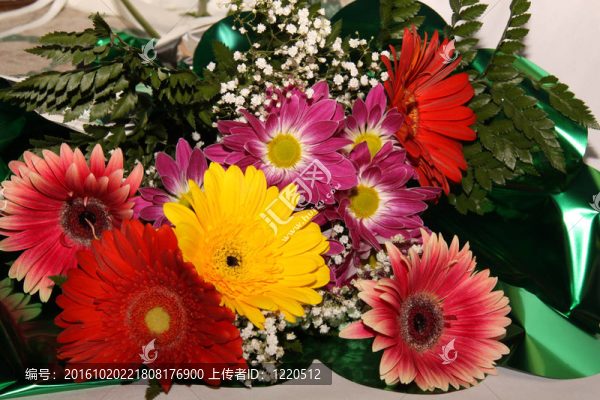 herbera花束