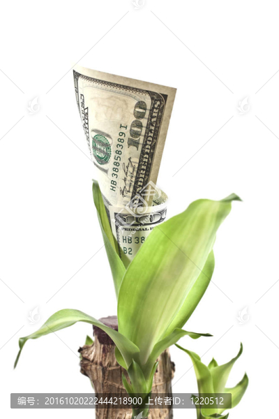 增長美元的貨幣工廠