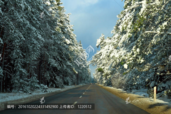 冬林公路