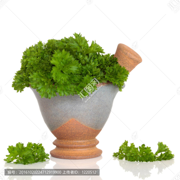 歐芹葉