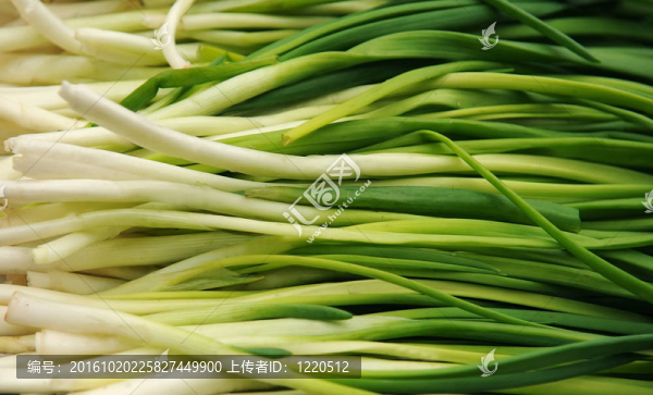 蔥