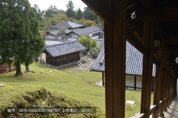 奈良東大寺