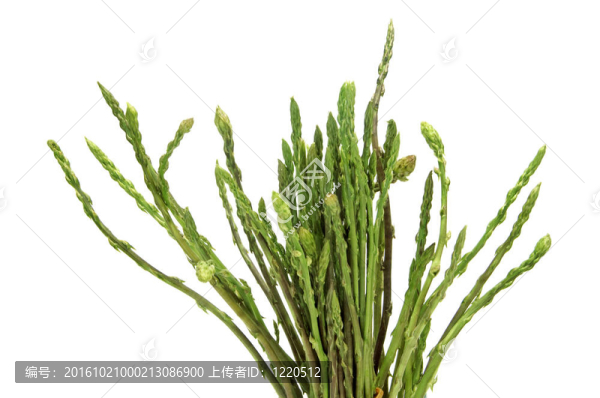 綠蘆筍
