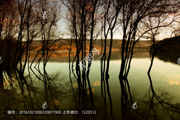 湖