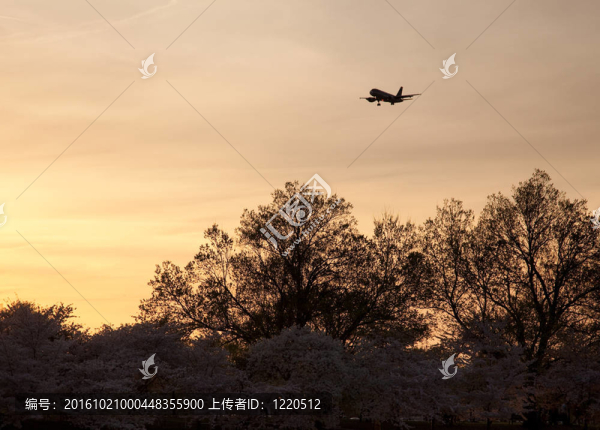 日落時分降落在里根國家機場的飛機